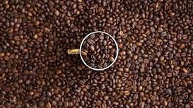 Apa Itu Caffeine Crash? Simak Pengertian dan Cara Mengatasinya dengan Tepat