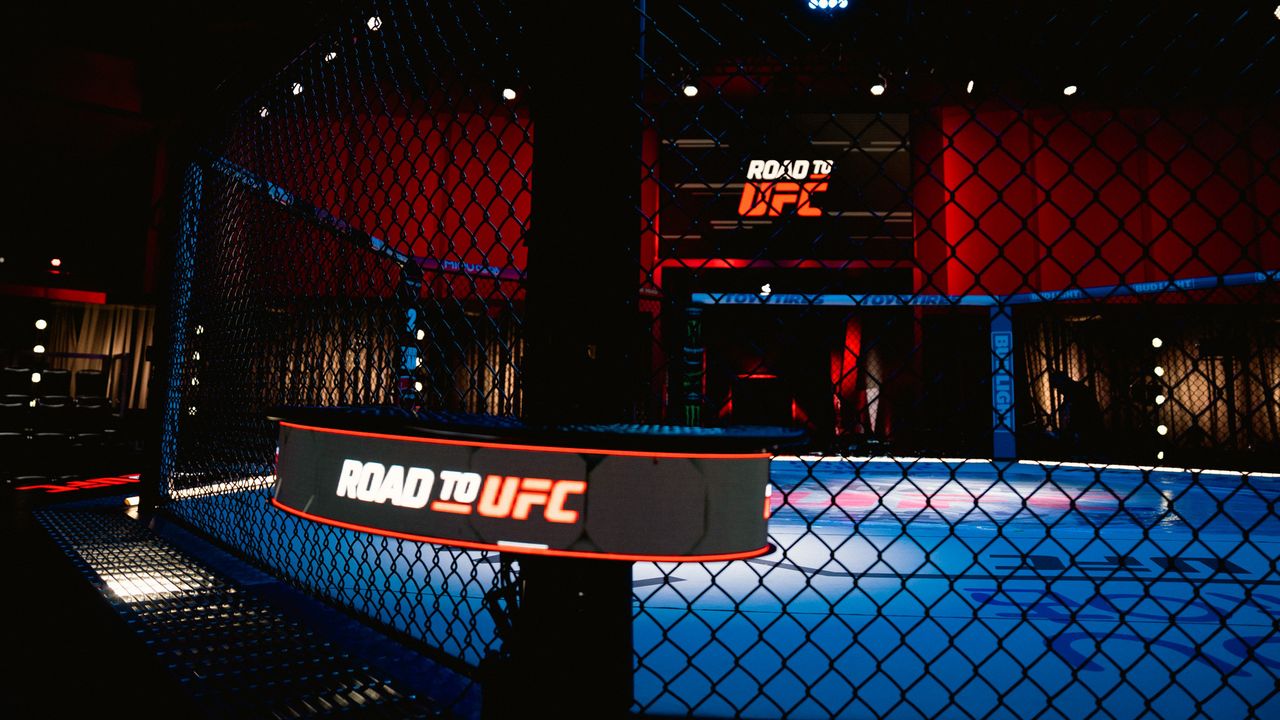 Lima Film yang Terinspirasi dari UFC, Aksi dan Emosi Berpadu