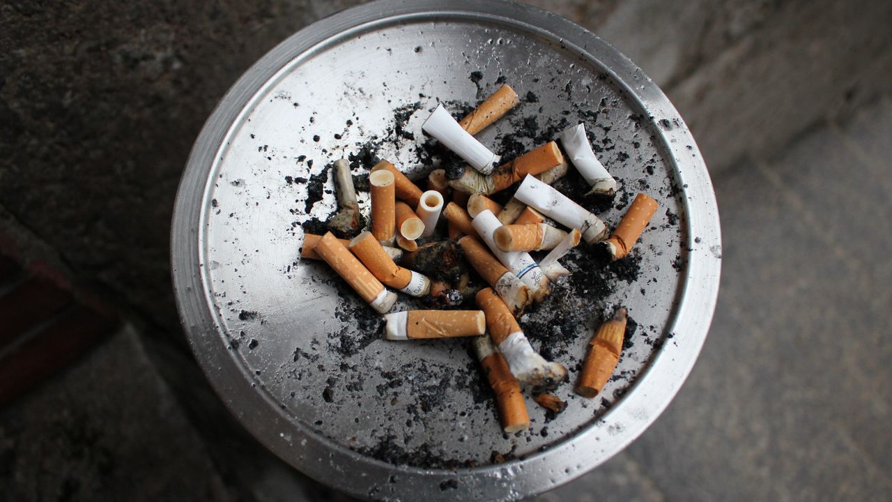 Dinggap Berbahaya, Simak 3 Fakta Seputar Nikotin dari Ahli Toksikolog