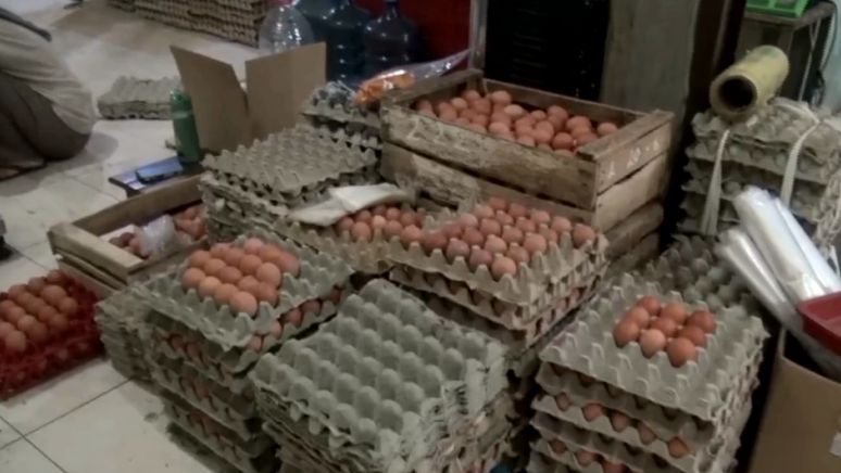 Harga Telur Ayam Naik Jelang Natal dan Tahun Baru