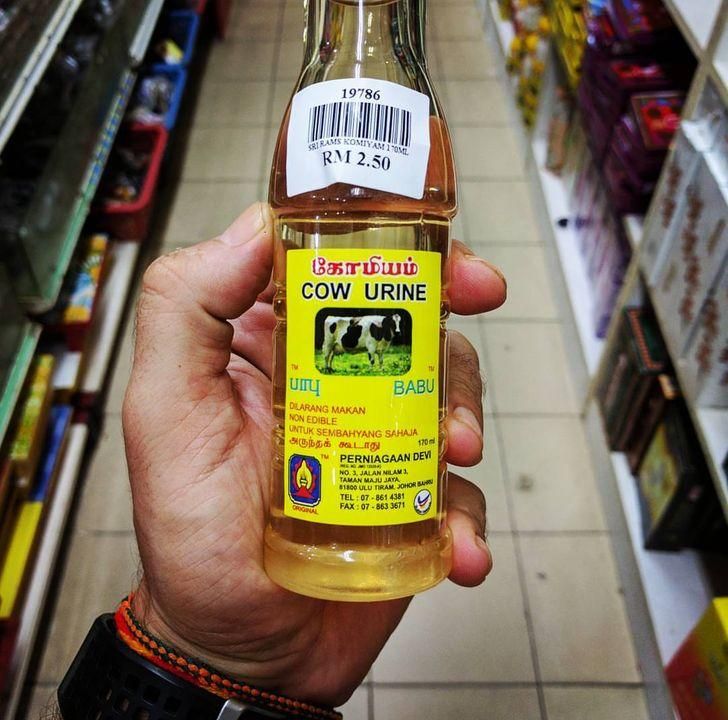 Cow Urine Drink (Foto: Bright Side)