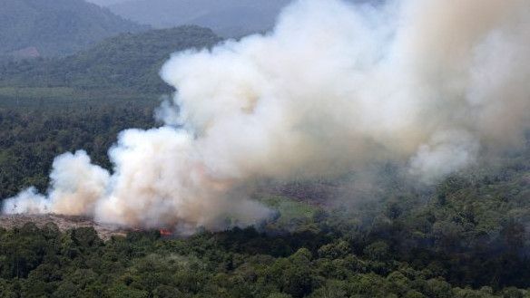 Benarkah Isam Jadi Koordinator Penanganan Kebakaran Hutan di Kalimantan?