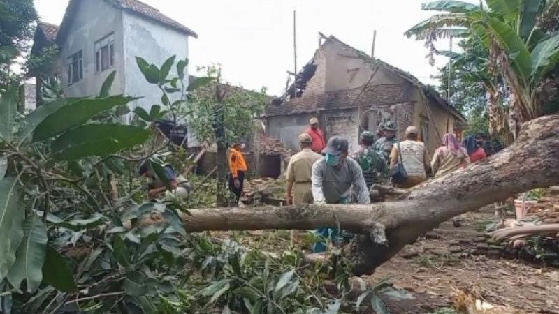 Sedih, Pohon Tumbang Timpa Rumah Wari di Madiun, Dapur dan Dua Kamar Rusak