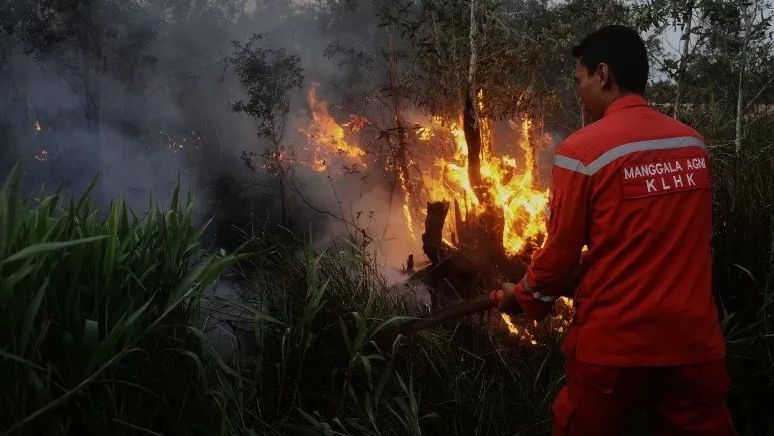 BMKG Deteksi 10 Titik Panas di Kalimatan Timur