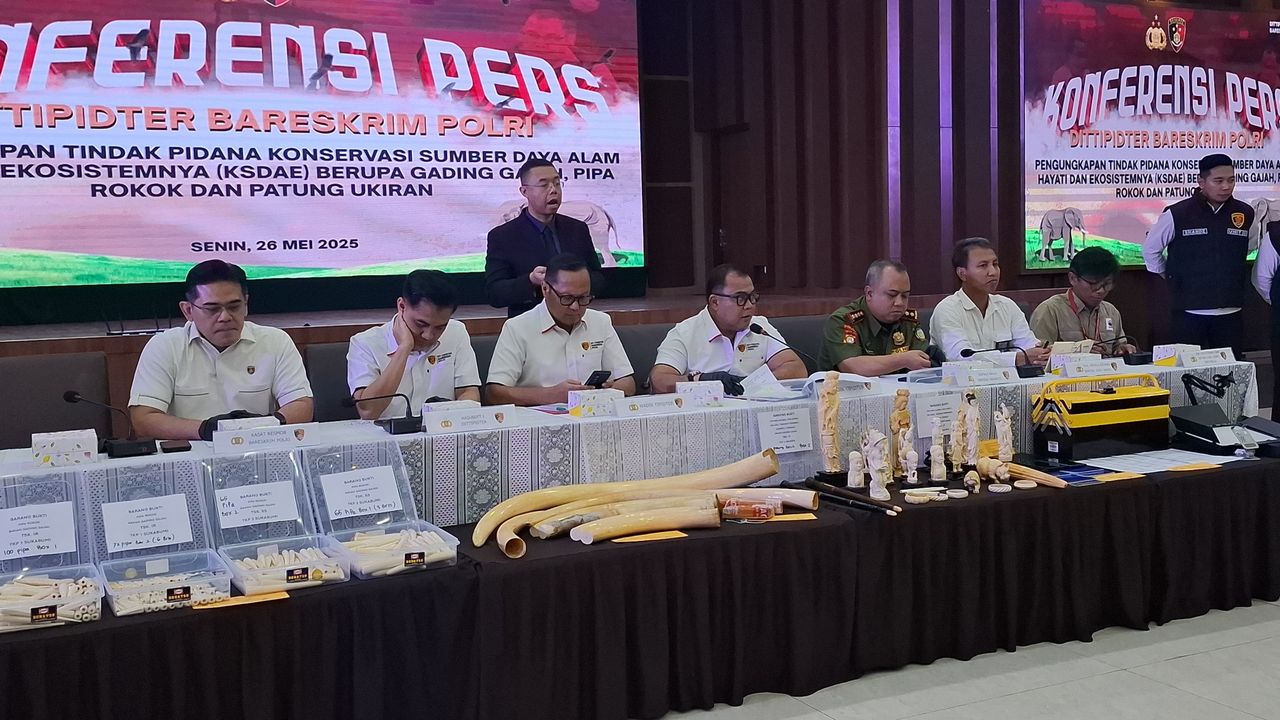 Polisi Bongkar Jual-Beli Gading Gajah di Sosmed, Empat Tersangka Untung Rp2 Miliar