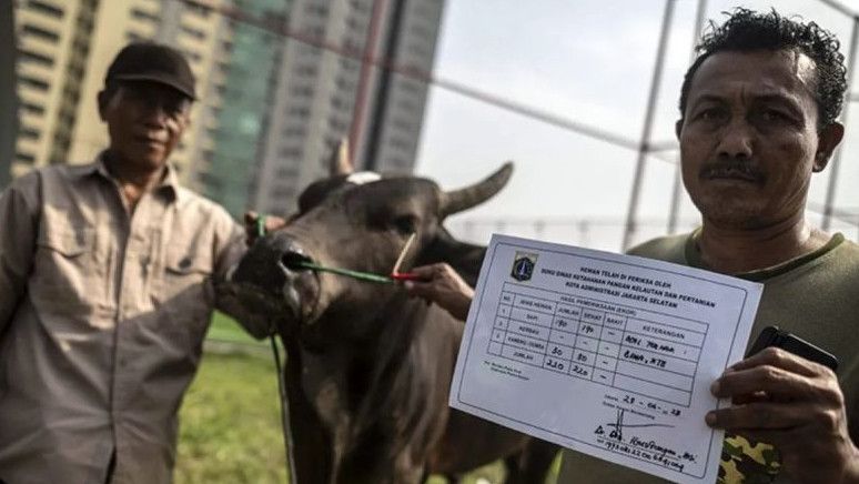 Panitia Kurban di DKI Dilarang Buang Limbah Hewan ke Saluran, Bikin Bau dan Cemari Lingkungan