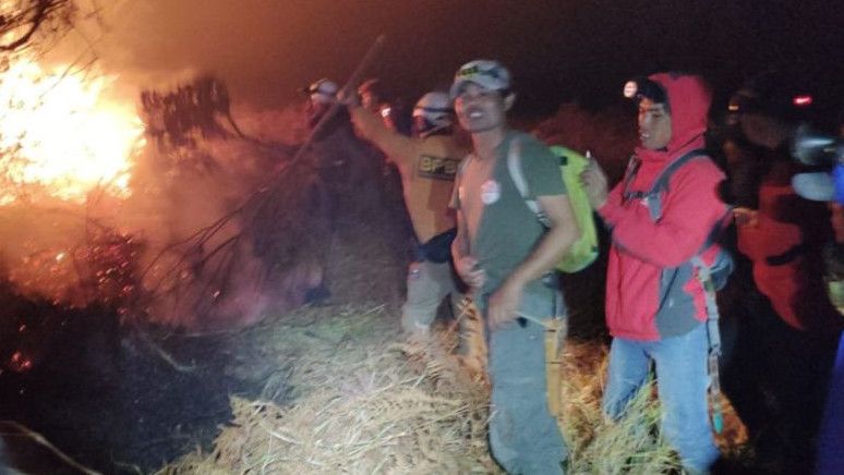 Polisi Selidiki Sebab Kebakaran Hutan di Gunung Papandayan, Lokasinya Sulit Dijangkau Manusia