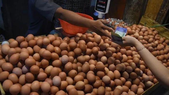 Pemerintah Berencana Subsidi Jagung untuk Turunkan Harga Telur