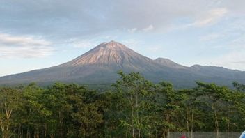 Update Terkini Gunung Semeru: Masih Alami Beberapa Kali Letusan dan Guguran