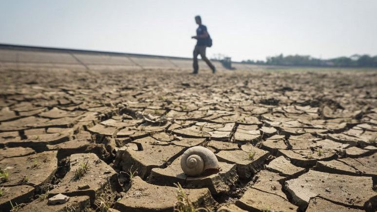 Antisipasi Bencana Kekeringan Akibat El Nino, Begini Strategi Gubernur Jatim Khofifah
