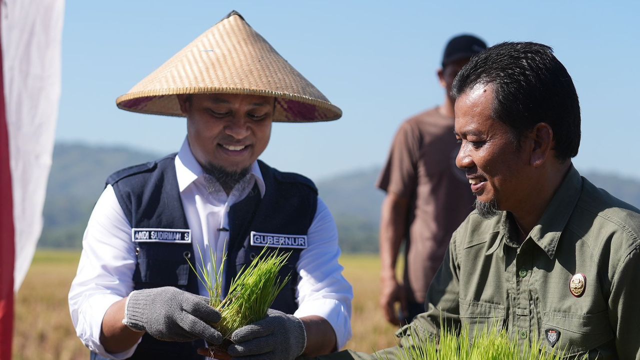Gubernur Sudirman Semringah Lihat Serapan Gabah di Sulsel Lampaui Target