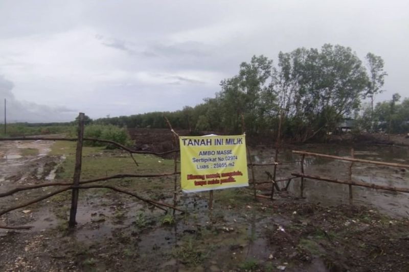 Hutan Mangrove Atas Nama Negara di Maros Dikaveling Warga, Luasnya Ribuan Meter Persegi