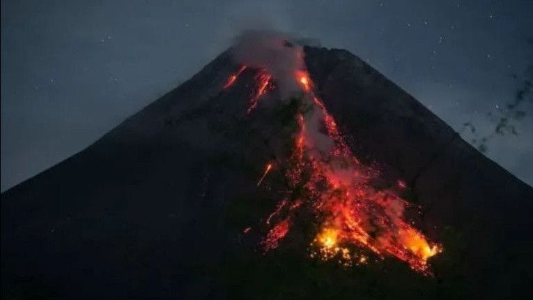 Gunung Merapi Muntahkan 132 kali Guguran Lava dalam Sepekan