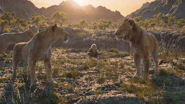 3 Fakta Menarik Mufasa: The Lion King, Bongkar Pride Lands yang Tersembunyi