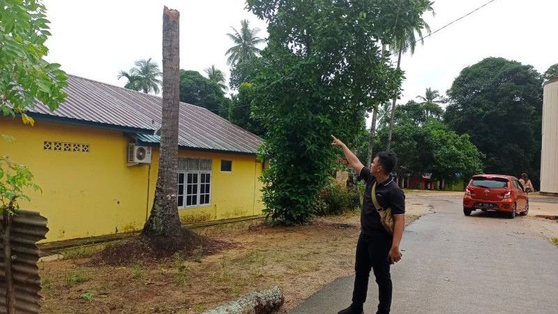 Siswi SMA di Batam Meninggal Dunia Tertimpa Pohon Kelapa Saat Hendak Pergi ke Sekolah