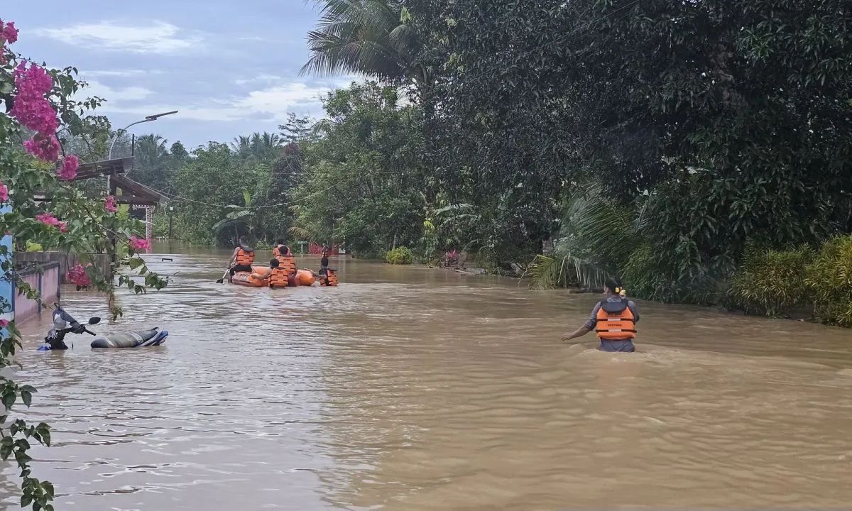 Penajam Paser Utara Lokasi IKN Kebanjiran Lagi Gara-Gara Hujan Lebih dari 5 Jam
