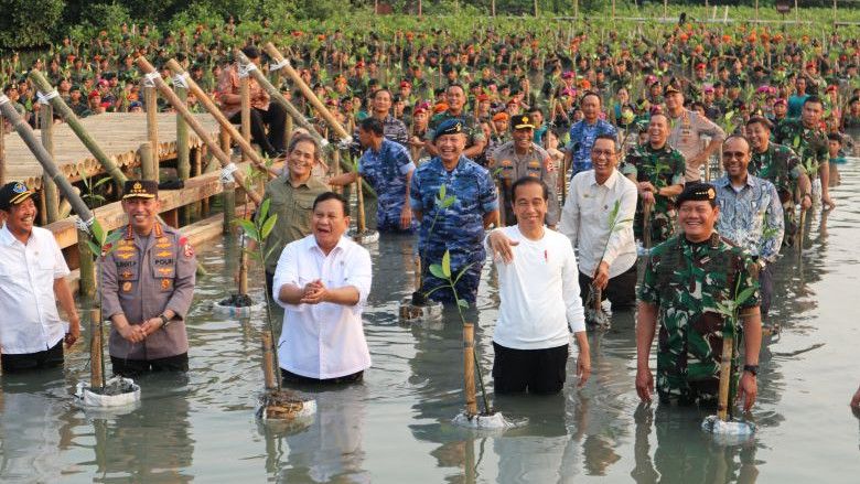 Momen Jokowi 'Nyemplung' Tanam Mangrove di TWA Angke Kapuk: Yang Mau Wawancara Sini..