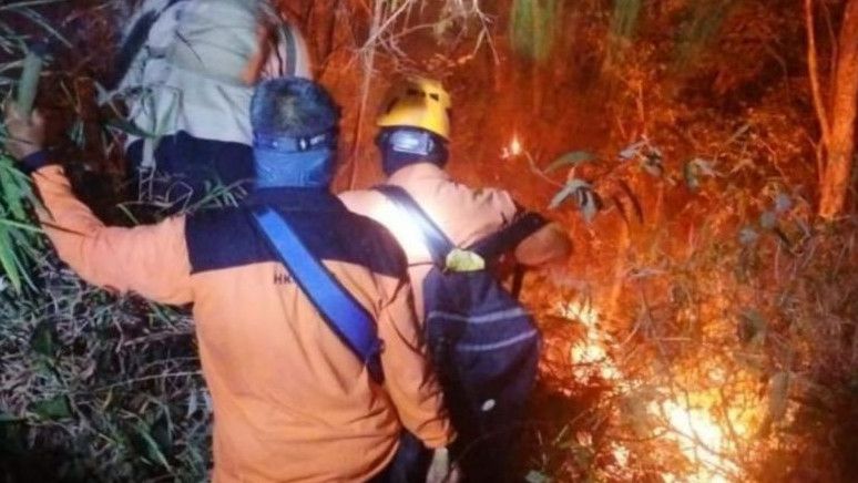Ratusan Petugas Diturunkan untuk Padamkan Kebakaran Hutan di Ciremai