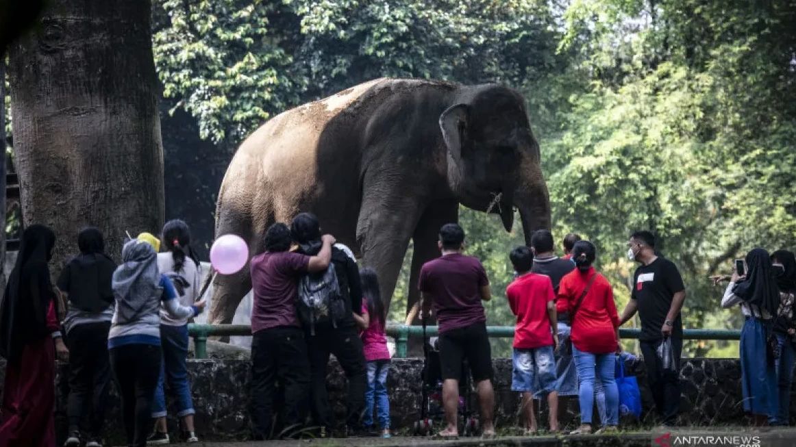 Pengunjung Taman Margasatwa Ragunan Jakarta Capai 112 Ribu Pada H+2 Lebaran