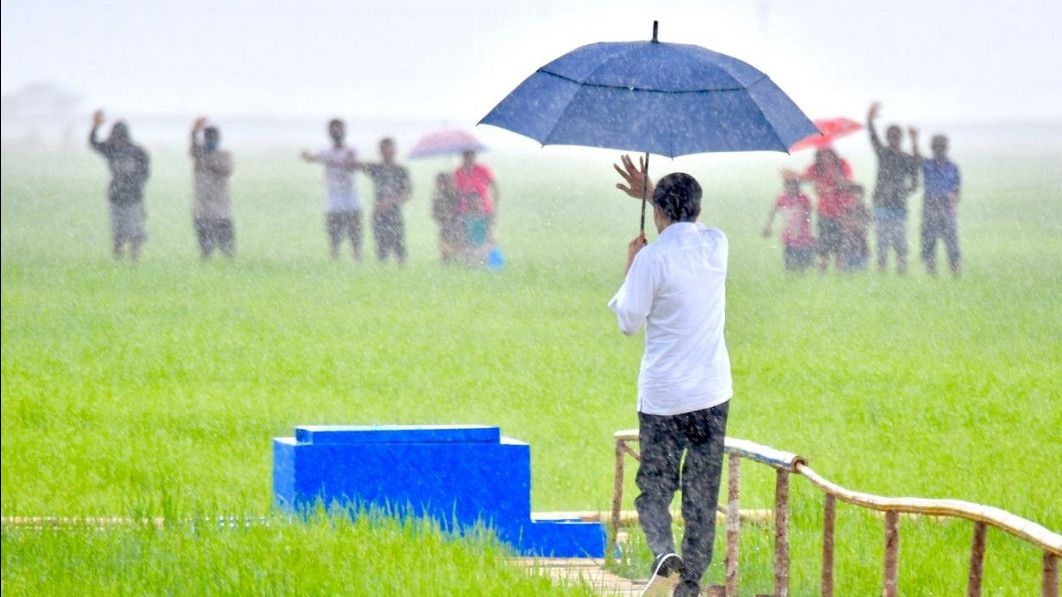 Aksi Presiden Jokowi Hujan-Hujanan Tinjau Lumbung Pangan Di Kabupaten Sumba Tengah, Provinsi NTT
