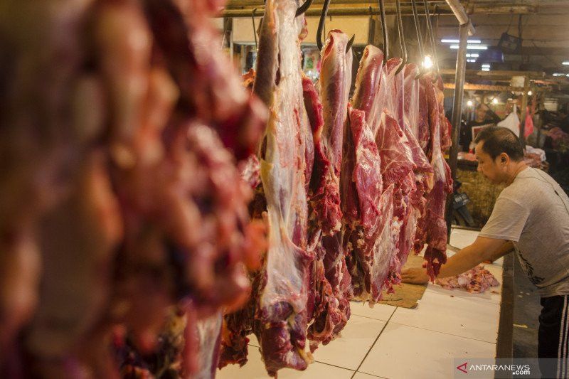 Sambut Ramadhan dan Idul Fitri, Kementan Penuhi Kebutuhan Daging Sapi dengan Impor