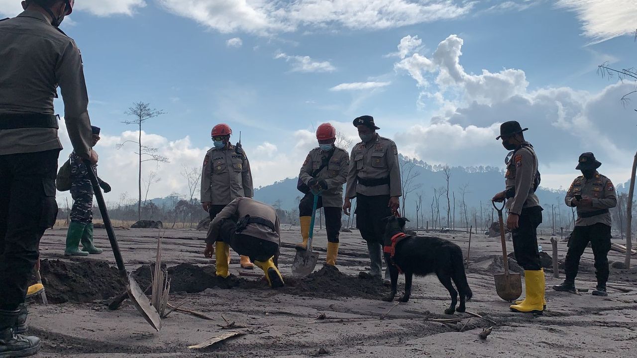 Breaking News! Korban Jiwa Akibat Erupsi Gunung Semeru Bertambah, BNPB: 43 Orang Meninggal Dunia, 114 Terluka