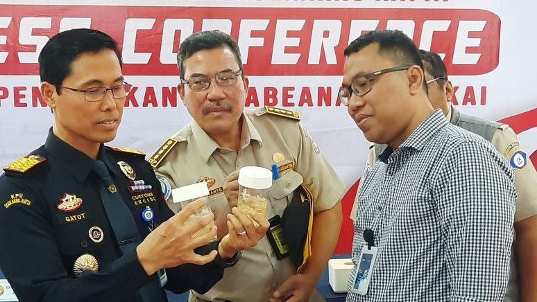 Bea Cukai Soetta Gagalkan Penyelundupan 34.222 Ekor Benih Lobster, Nilainya Capai Rp5,3 M