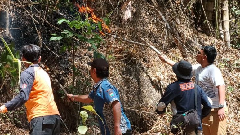 Lahan Seluas 10 Hektare Terbakar, Jalur Puncak Gunung Budheg Tulungagung Jatim Ditutup Sementara