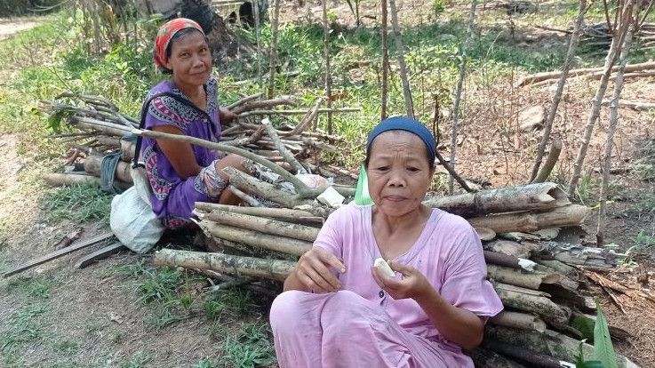 Kisah Warga Desa di Lebak yang Masih Nyaman Masak Pakai Kayu Bakar daripada Gas Elpiji
