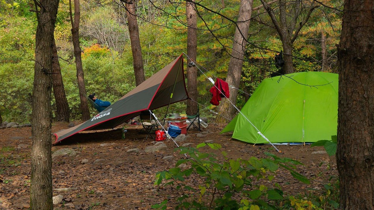 Tips Solo Camping untuk Pemula yang Harus Diketahui