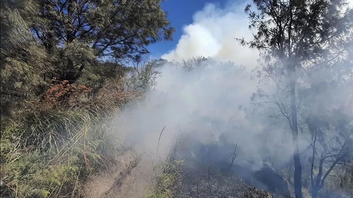 Savana Widodaren di Bromo Kebakaran, Wisata Masih Dibuka untuk Umum