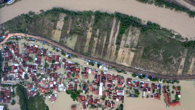 Banjir di Demak Mengkhawatirkan, Jokowi Singgung Pembalakan Liar dan Alih Fungsi Lahan