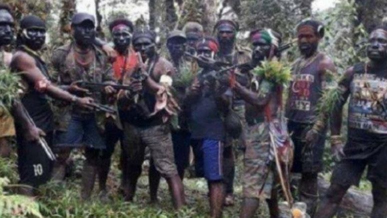 KKB Kembali Berulah, Tembak 2 Warga dan 1 Anggota Satpol PP di Papua Pegunungan