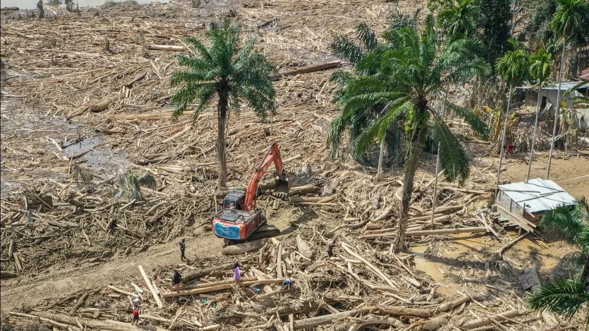 Gelondongan Kayu yang Rusak Rumah di Aceh Jadi Incaran Pengusaha