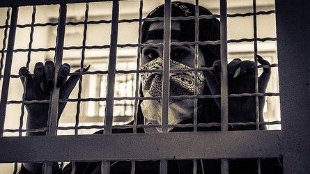 Polisi Tangkap Perempuan Pengunggah Meme Jokowi-Prabowo Ciuman di Aplikasi X