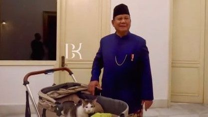 Ikut Diboyong ke Istana Negara, Bobby si Kucing Prabowo Naik Stroller Mewah