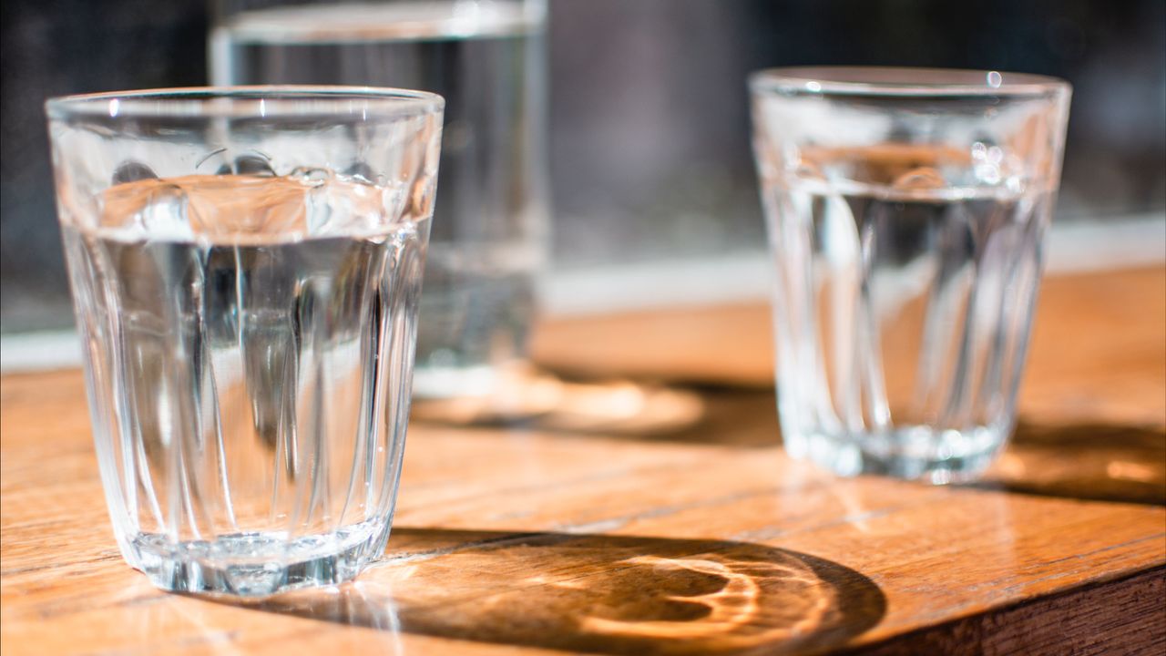 Ilmuwan Ini Ungkap Fakta Baru Soal Minum Air Putih 2 Liter Setiap Hari