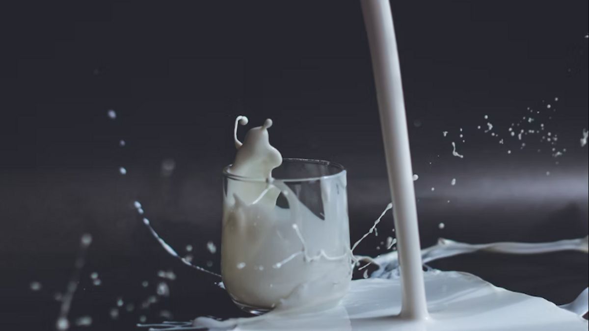 Efek Samping Minum Susu Murni yang Harus Kita Ketahui, Apa Saja?