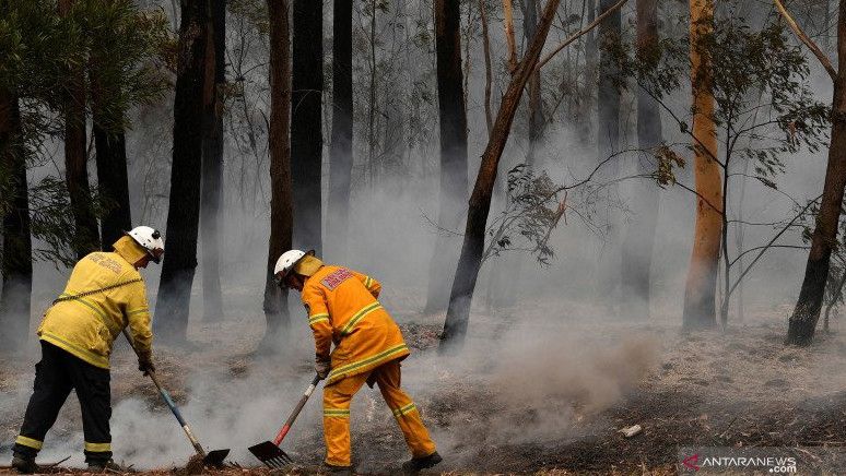 Suhu Udara Capai 40 Derajat Celsius, Kawasan Semak Australia Terbakar