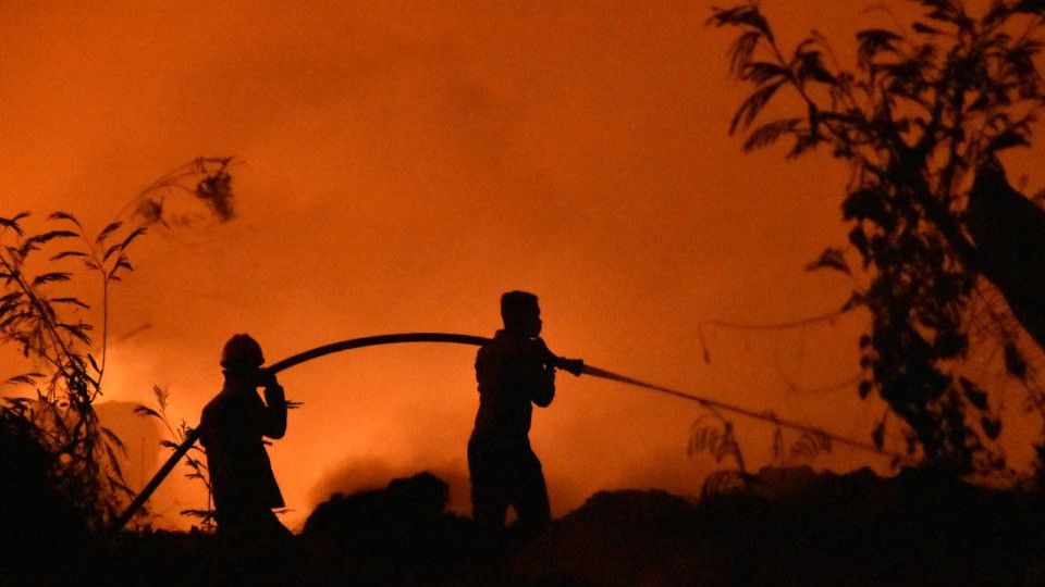 20 Korporasi Jadi Tersangka Karhutla, 4 di Antaranya Investor Asing