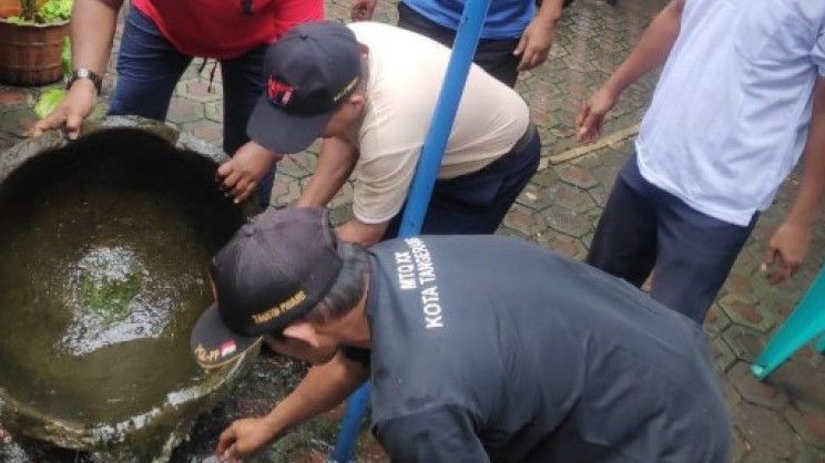Waspada! Sepanjang Oktober, 7 Orang Kota Tangerang Terserang DBD