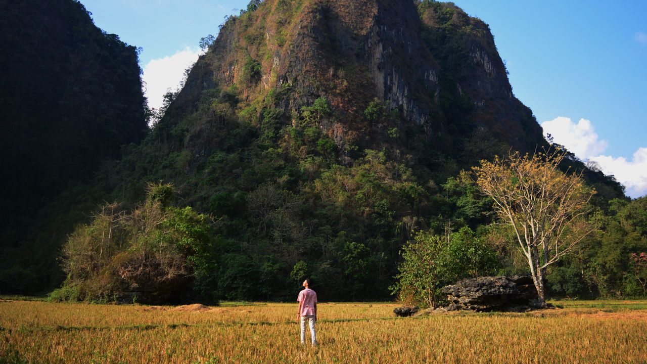 Puluhan Ribu Bibit Sukun dari Pemprov Sulsel Akan Ditanam di Sekitar Rammang-Rammang Maros