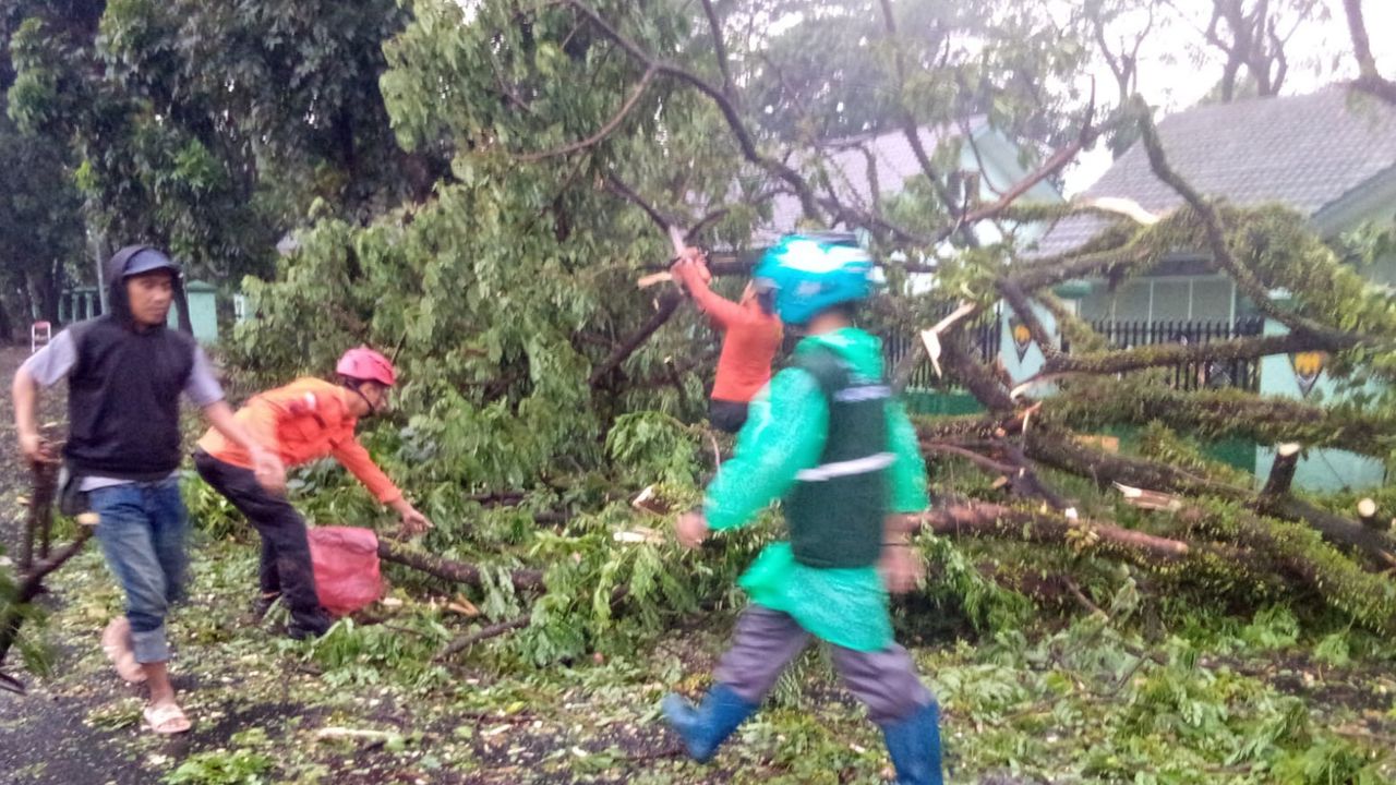 BPBD Catat 25 Titik Bencana di Kota Bogor Imbas Hujan Deras dan Angin Kencang Kemarin, Berikut Rinciannya