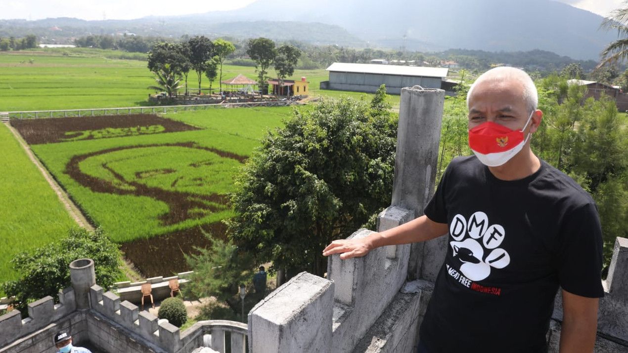 Momen Ganjar Pranowo Kagum Lihat Gambar Dirinya di Tengah Sawah yang Dibuat Warga: Ternyata Memang Mirip Banget Ya..