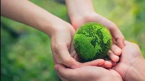 4 Tips Menjalani Gaya Hidup Sustainable untuk Pemula demi Menjaga Kelestarian Lingkungan