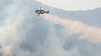 Kebakaran Hutan di Sancheong Meluas, Otoritas Korea Selatan Kerahkan Puluhan Helikopter