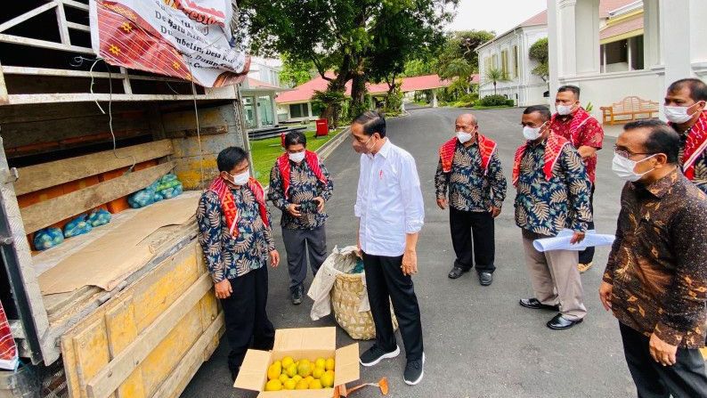 Aksi Warga Karo Kirim 3 Ton Jeruk demi Jalan Diperbaiki, Langsung Diterima Jokowi