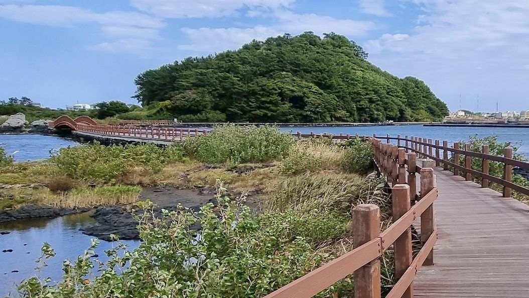 Kehilangan Pengunjung Gegara Kontroversi, Pulau Jeju Dinilai Pelayanannya Buruk dan Mahal