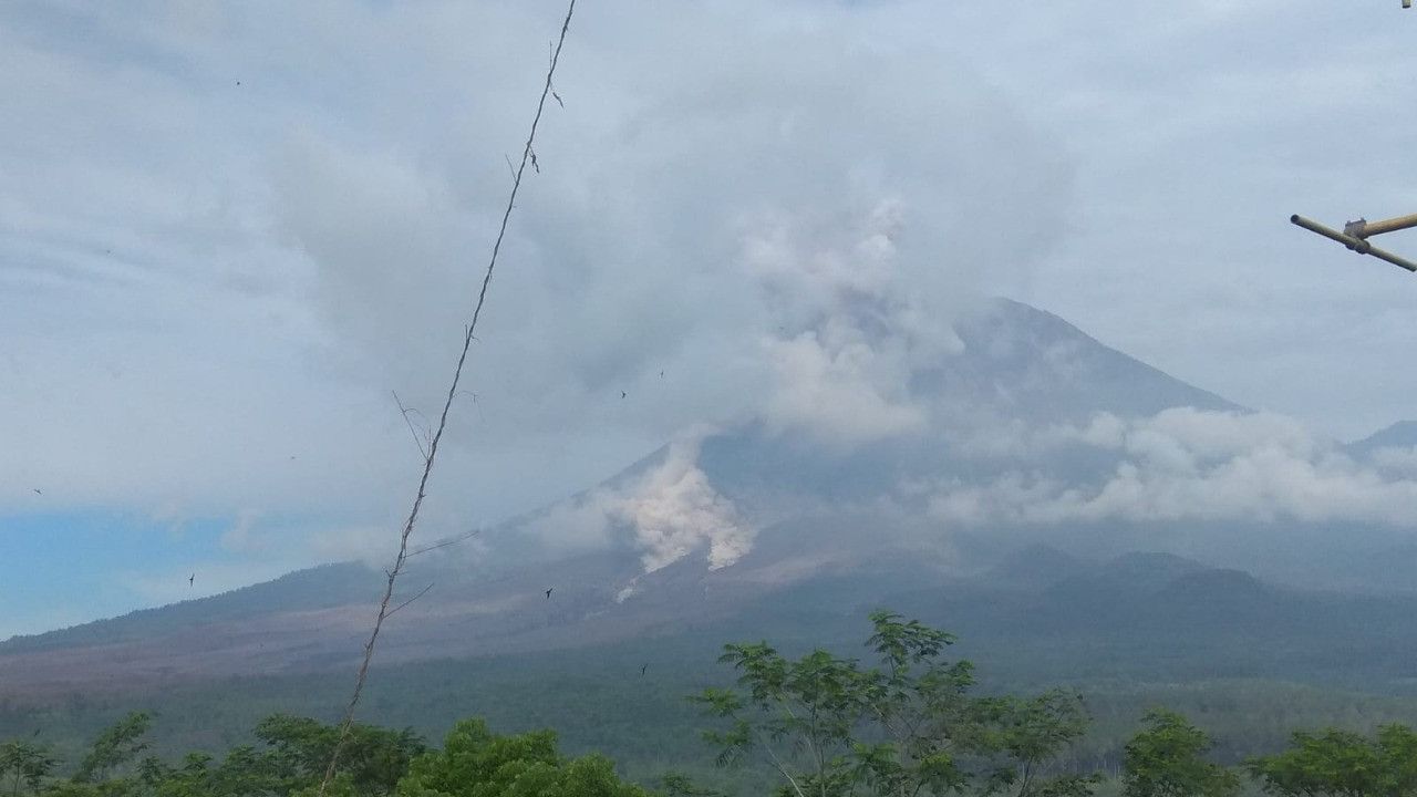 Breaking News: Gunung Semeru Kembali Luncurkan Awan Panas Guguran Hingga 5.000 Meter
