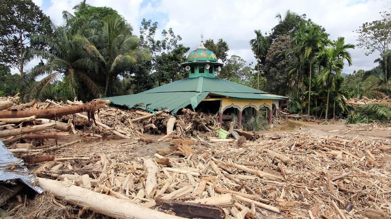 Gerindra Nilai Kayu Gelondongan Hanyut dalam Bencana Sumatra dan Aceh Itu Barang Lama
